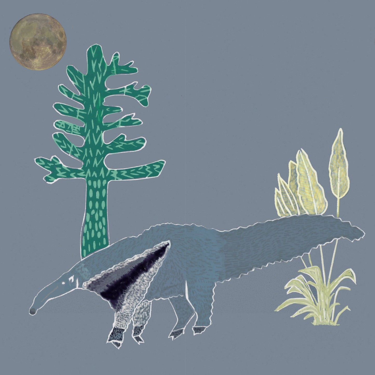 WALLPAPER SAMPLE The Anteater Wallpaper - Anteaters Breath