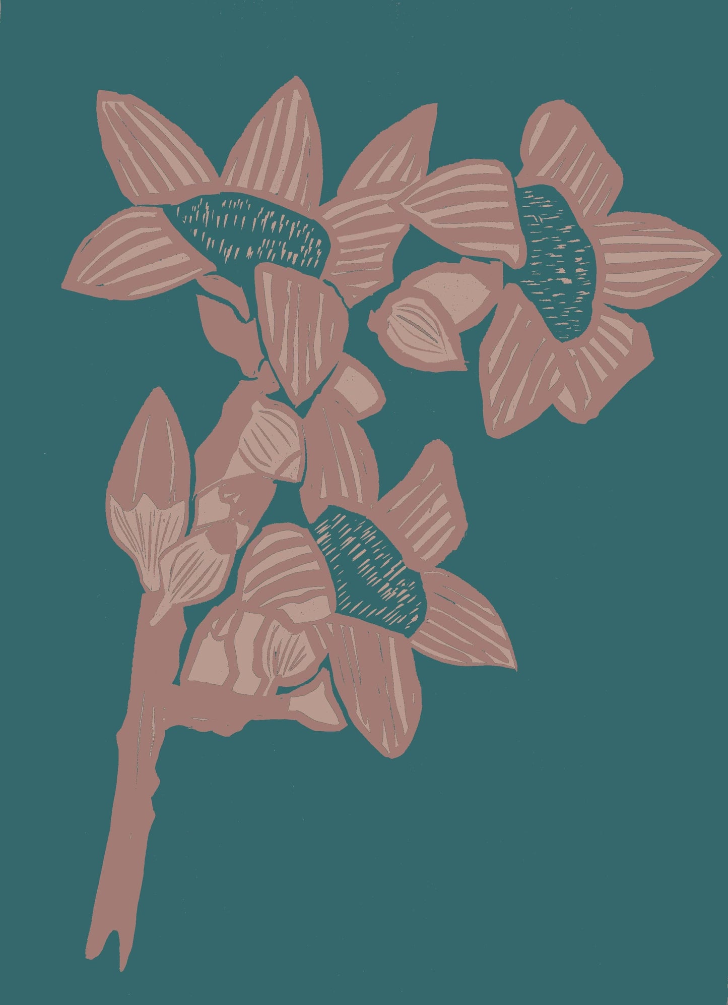 Giclee Print A4 (297 x 210mm) Giclée Print The Red Cotton Tree - Indian Teal