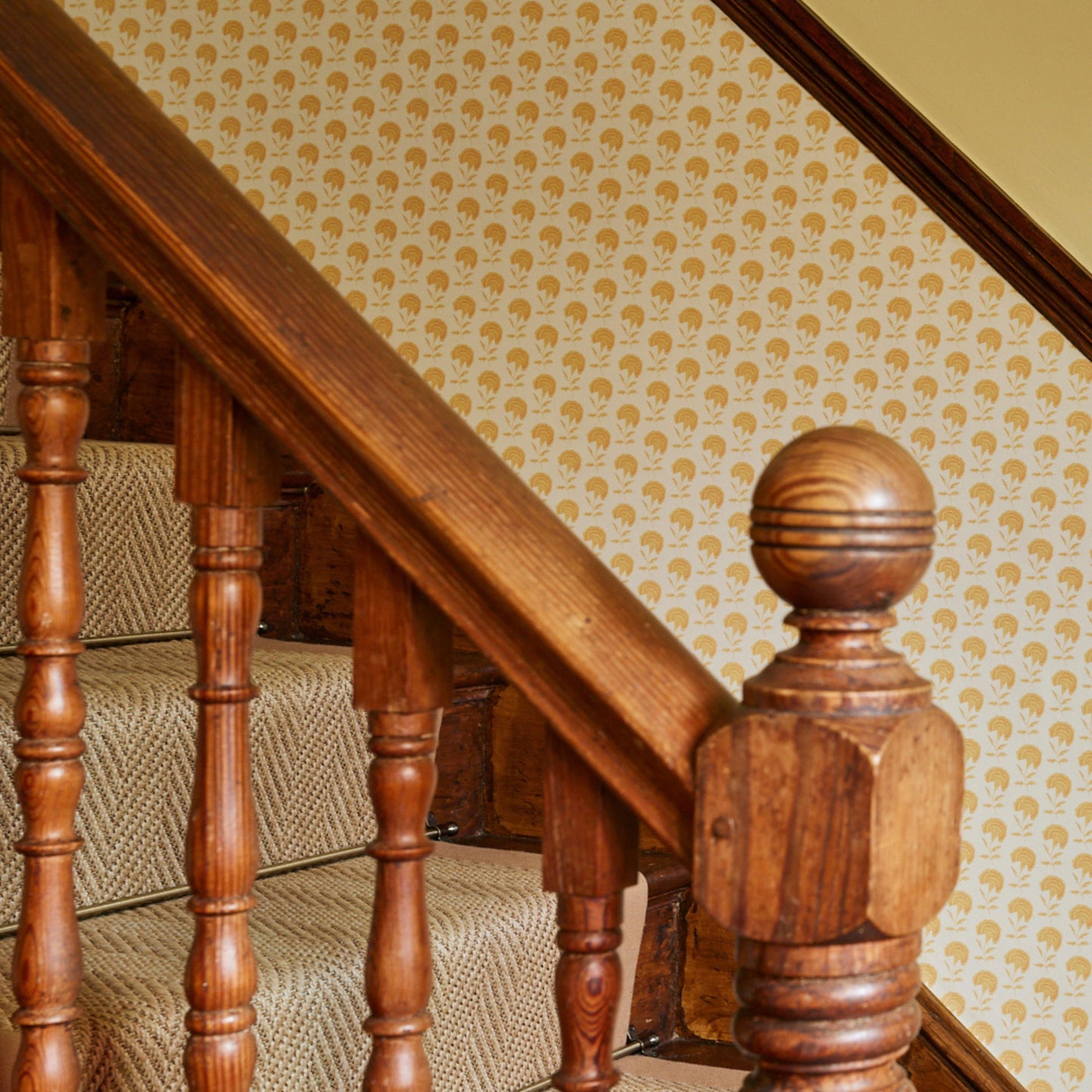 WALLPAPER Marigold Wallpaper - Indian Sunrise