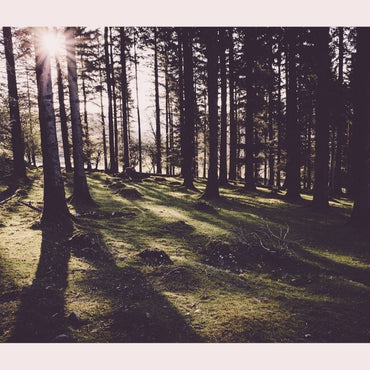 TOP TIPS on how to become more environmentally friendly