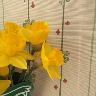 Grasscloth Wallpaper: The Same Designs, A Richer Surface