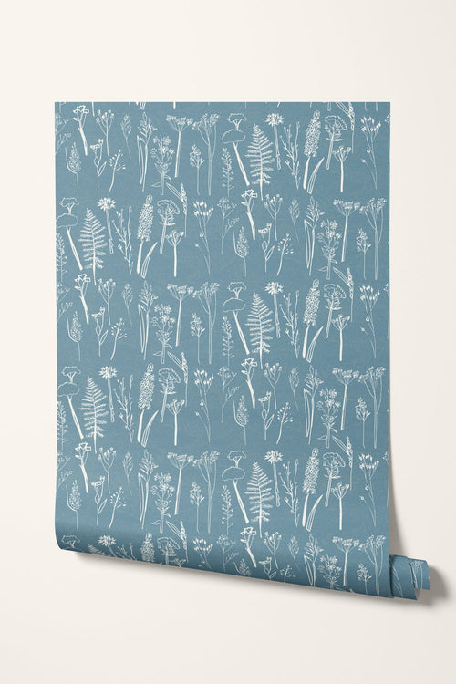 Daily Walk ~ Sky Blue