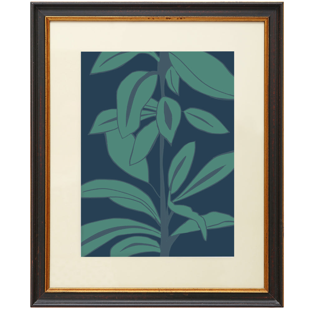 
                  
                    Giclée Print Rubber Plant - Leaves at Midnight
                  
                
