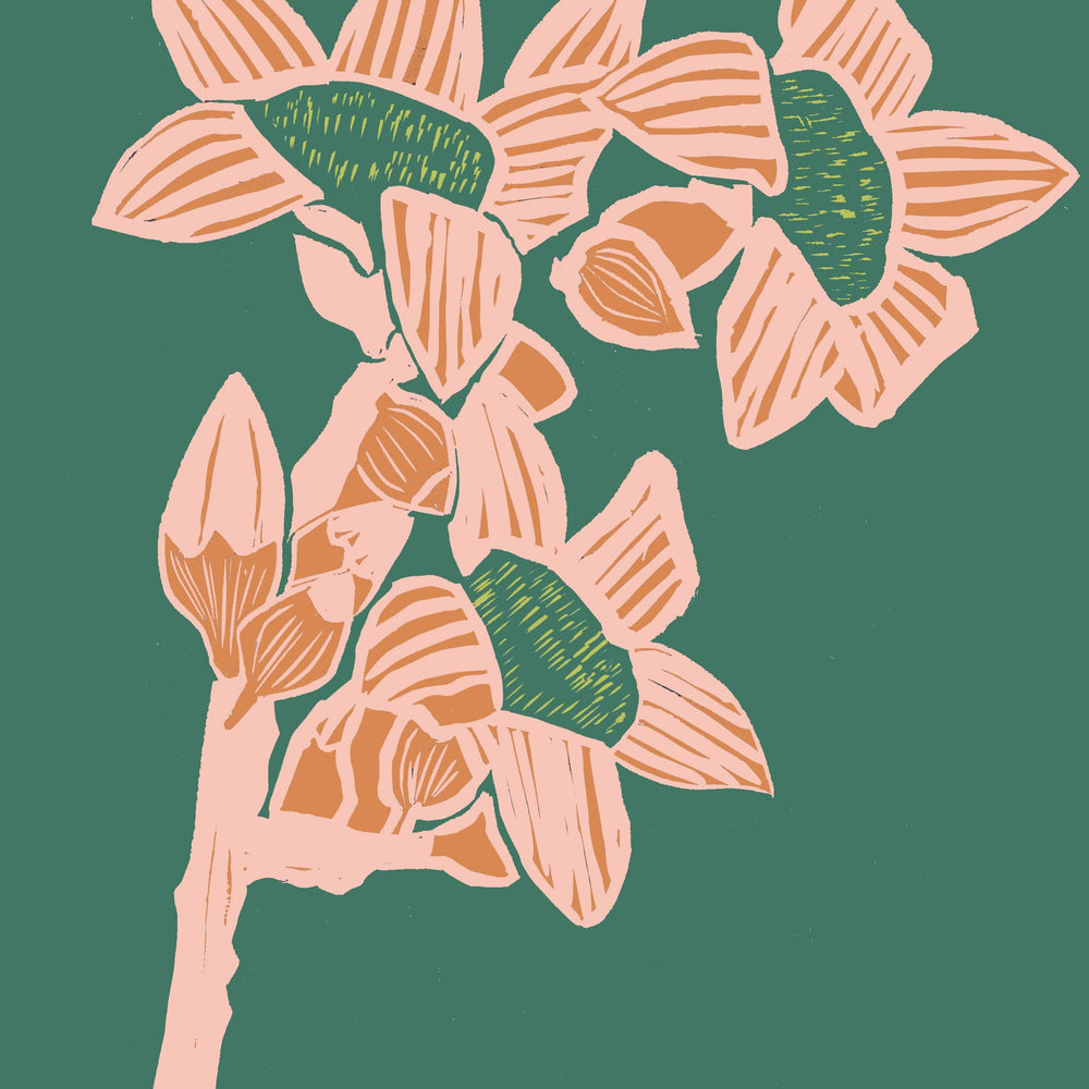 
                  
                    Giclee Print A4 (297 x 210mm) Giclée Print The Red Cotton Tree - Jade
                  
                