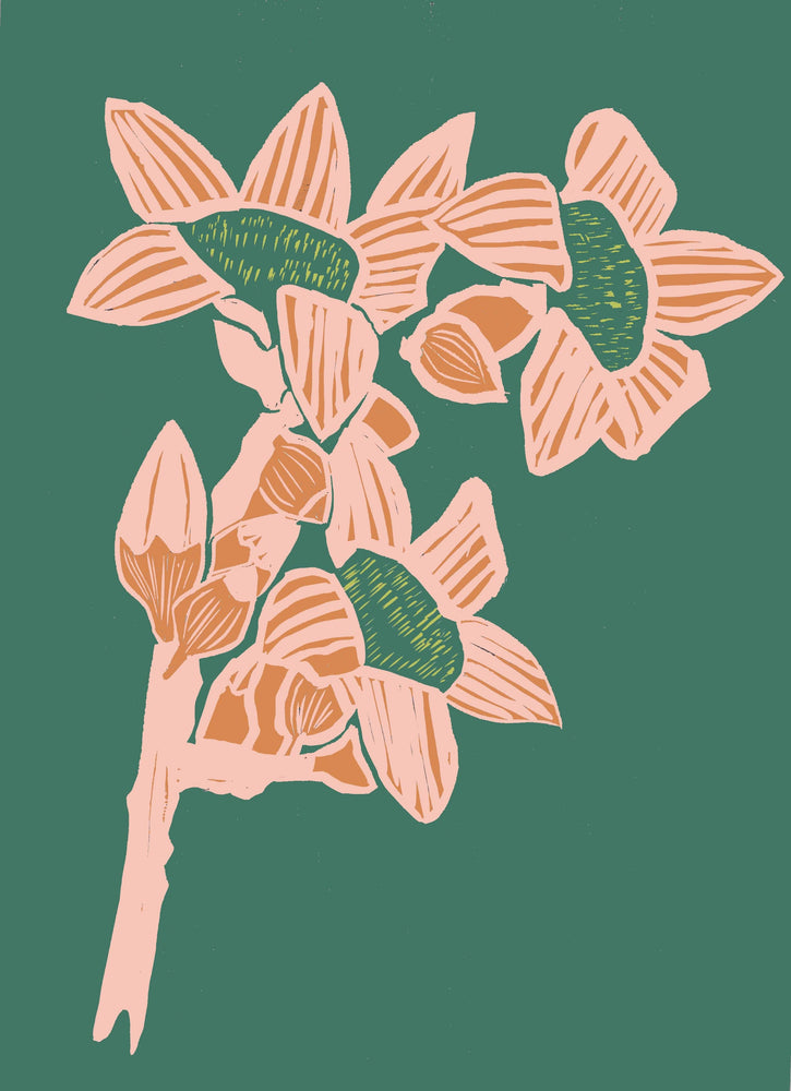 Giclee Print A4 (297 x 210mm) Giclée Print The Red Cotton Tree - Jade